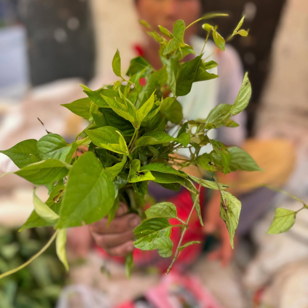 Vedai lota (ৱেদাই লোটা)